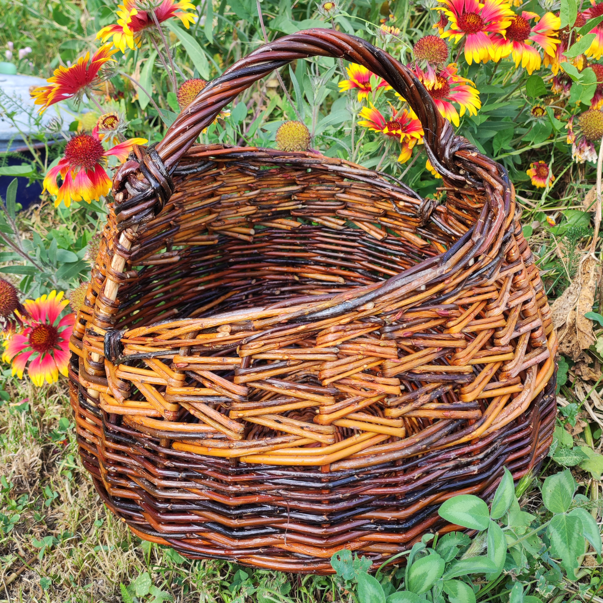 Panier